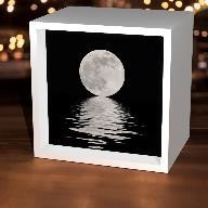 Black & White Moon Light Box