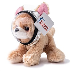 Miniz Chihuahua with Space Helmet