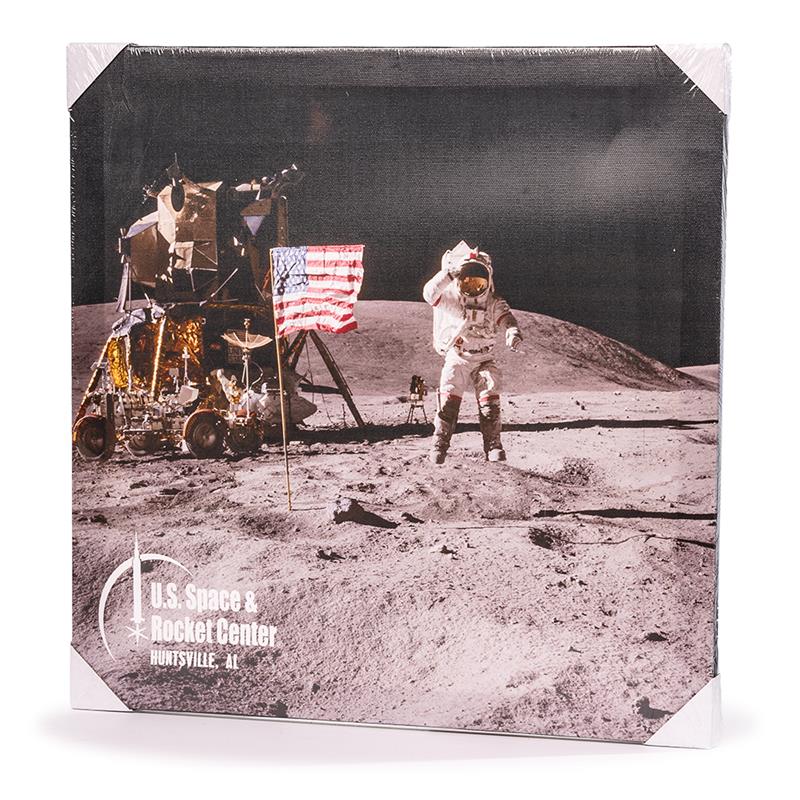Lunar Scene Canvas,50TH ANNIVERSARY,14/0239 IMP