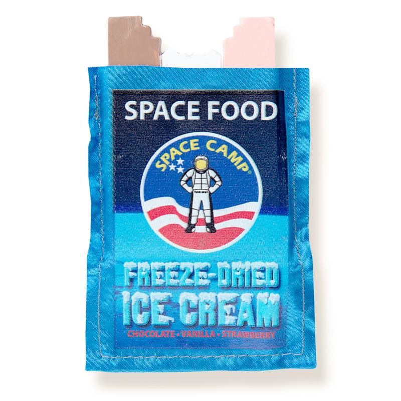 Space Camp Ice Cream Magnet,SPACECAMP,NOV999 IMP