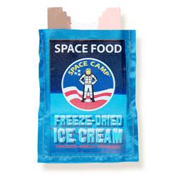 Space Camp Ice Cream Magnet
